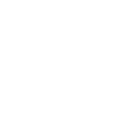 Die Gans